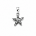 Dije de estrella de Mar
