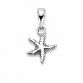 Dije de estrella de mar