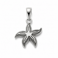 Dije de estrella de mar